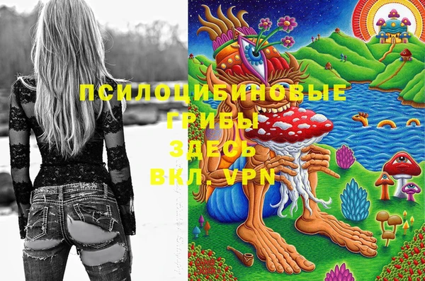 МДПВ Вязники